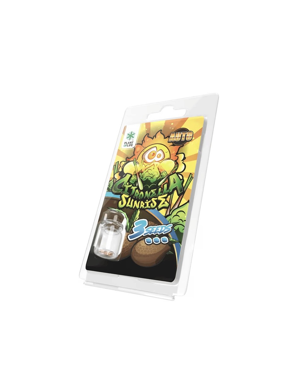 3 Citronella Sunrise AUTO Samen | Plant of Life