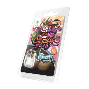 3 Candy Kush AUTO Samen | Plant of Life