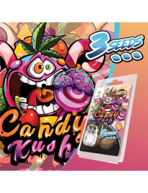 3 Candy Kush AUTO Samen | Plant of Life