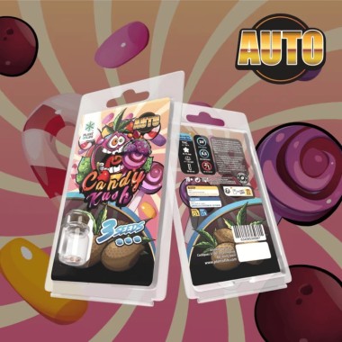 3 Candy Kush AUTO Samen | Plant of Life