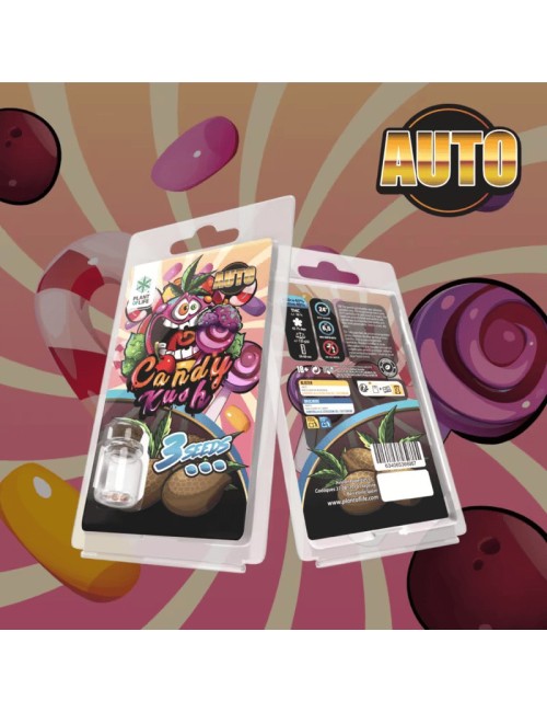 3 Candy Kush AUTO Samen | Plant of Life