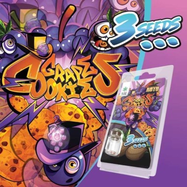 3 Grape Cookies AUTO Samen | Plant of Life