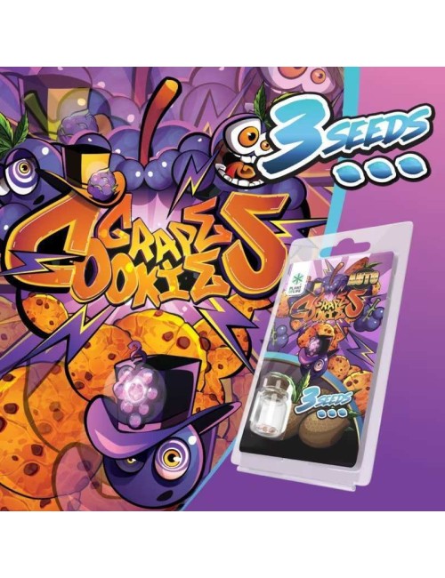 3 Grape Cookies AUTO Samen | Plant of Life