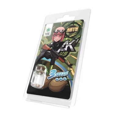 3 AK49 AUTO Samen | Plant of Life