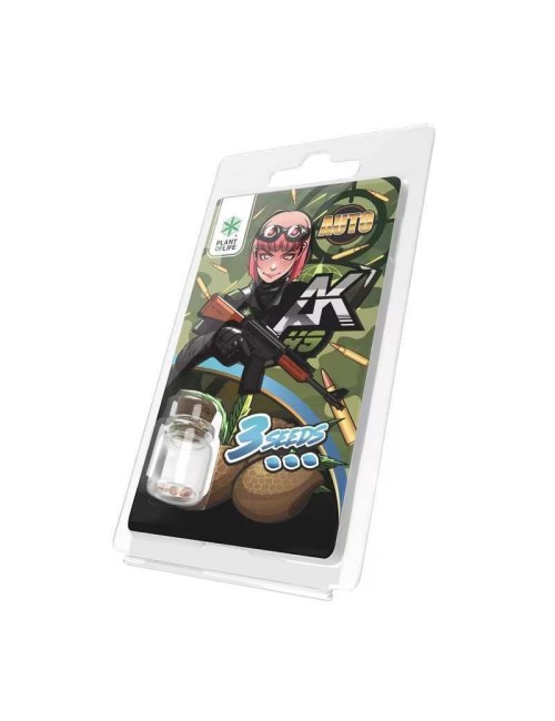 3 AK49 AUTO Samen | Plant of Life