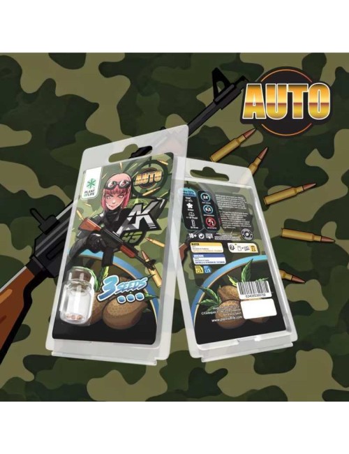 3 AK49 AUTO Samen | Plant of Life