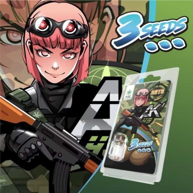 3 AK49 AUTO Samen | Plant of Life