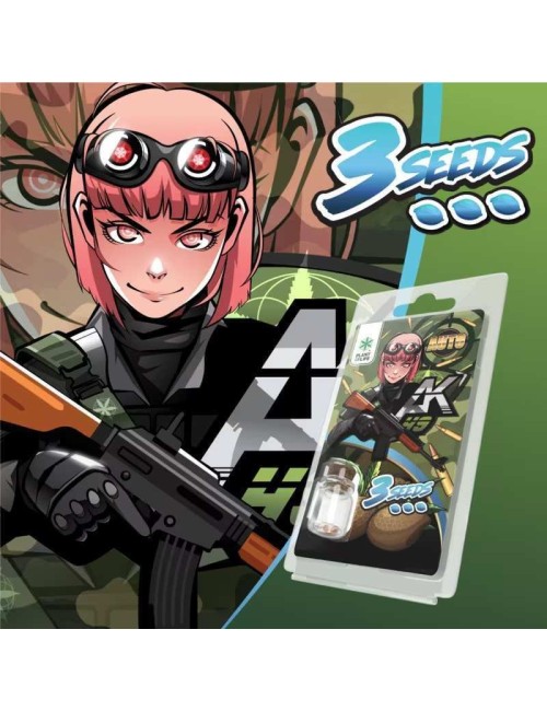 3 AK49 AUTO Samen | Plant of Life