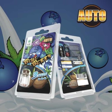 3 Blueberry AUTO Samen | Plant of Life