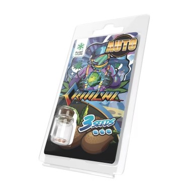 3 Critical AUTO-Samen | Plant of Life