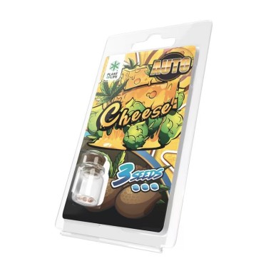 3 Cheese AUTO Samen | Plant of Life