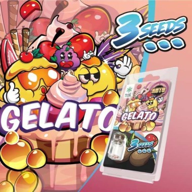 3 Gelato AUTO-Samen | Plant of Life