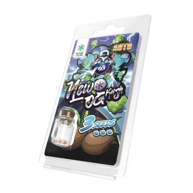 3 Samen New OG Kush AUTO | Plant of Life