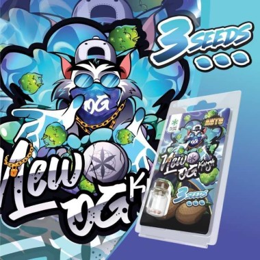 3 Samen New OG Kush AUTO | Plant of Life