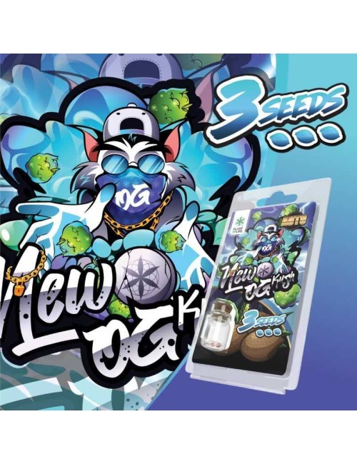 3 Samen New OG Kush AUTO | Plant of Life