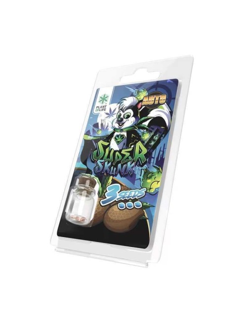 3 Super Skunk AUTO Samen | Plant of Life