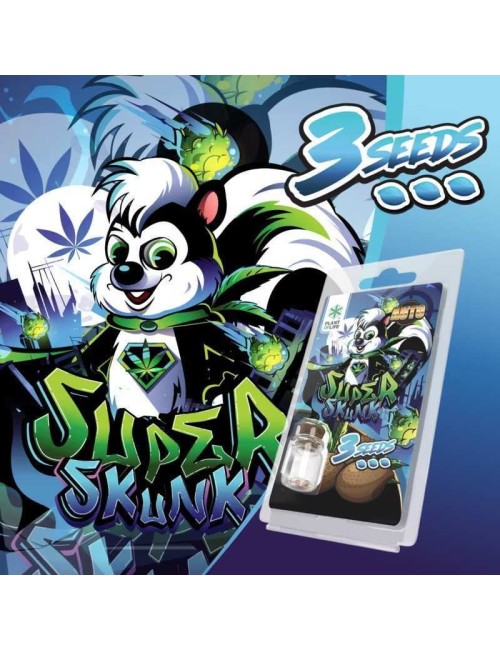 3 Super Skunk AUTO Samen | Plant of Life