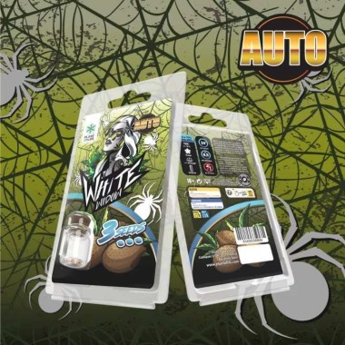 3 White Widow AUTO Samen | Plant of Life
