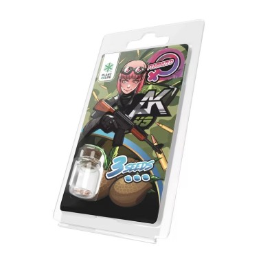 3 AK49 FEMINISIERTE SAMEN | Plant of Life