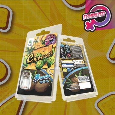 3 Käse-Samen FEMINISIERT | Plant of Life