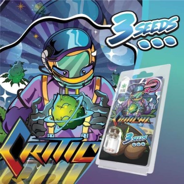 3 Critical FEMINISIERTE Samen | Plant of Life