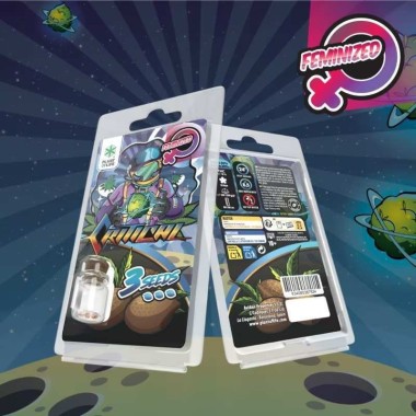 3 Critical FEMINISIERTE Samen | Plant of Life