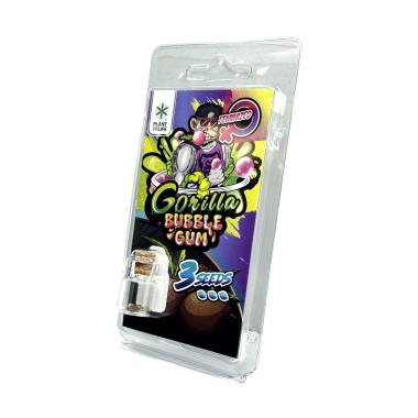 3 Gorilla Bubblegum FEMINISIERTE Samen | Plant of Life