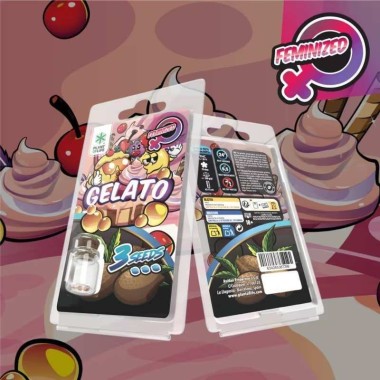 3 Gelato FEMINISIERTE Samen | Plant of Life