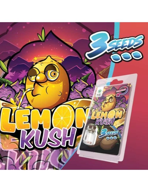 3 Lemon Kush FEMINISIERTE Samen | Plant of Life