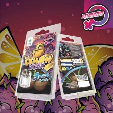 3 Lemon Kush FEMINISIERTE Samen | Plant of Life