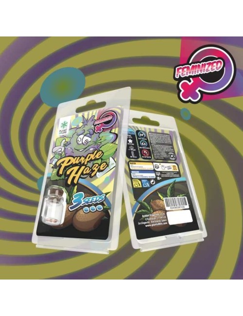 3 Purple Haze FEMINISIERTE Samen | Plant of Life