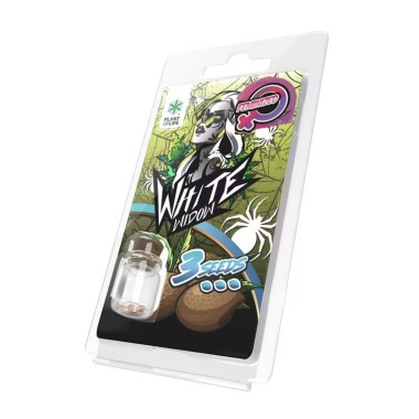 3 White Widow FEMINISIERTE Samen | Plant of Life