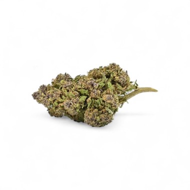 CBD Çiçek Purple Cookie Sera Premium
