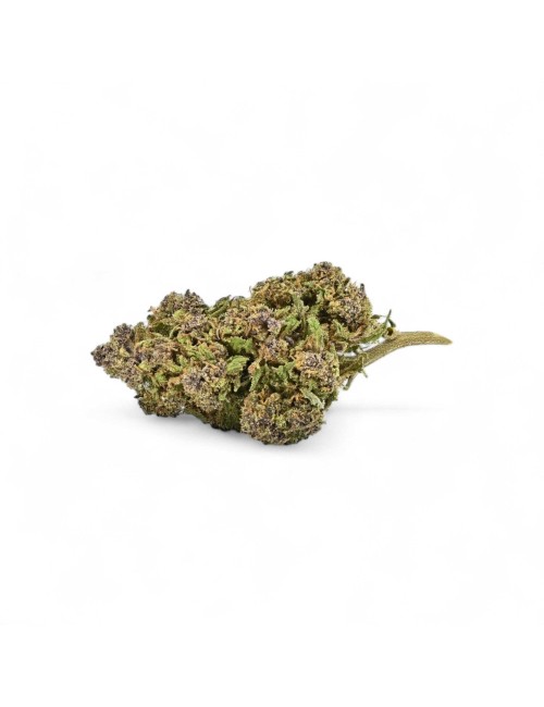 CBD Çiçek Purple Cookie Sera Premium