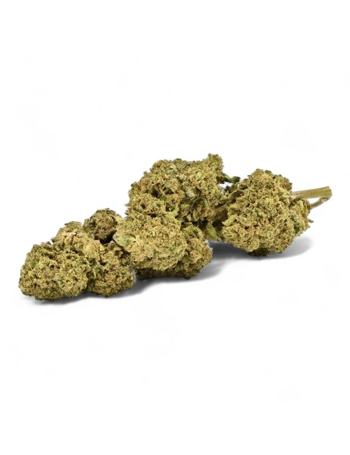 CBD Çiçeği Remedy Greenhouse Premium