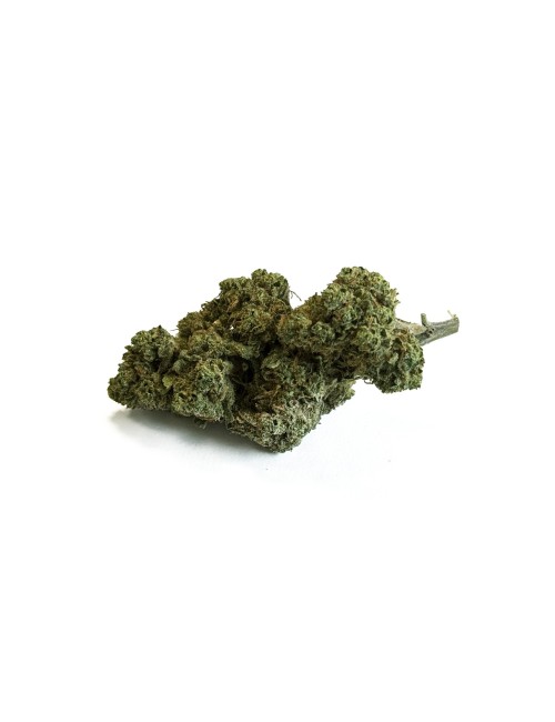 CBD Çiçek California Kush Sera Premium