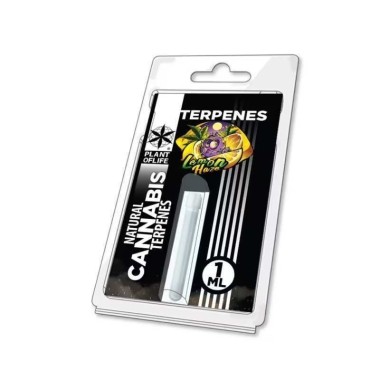 Terpen Lemon Haze | PLANT OF LIFE