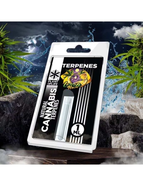 Terpen Lemon Haze | PLANT OF LIFE