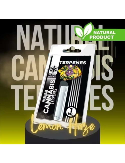 Terpen Lemon Haze | PLANT OF LIFE