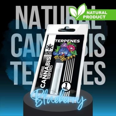 Terpen Blueberry Diesel | PLANT OF LIFE