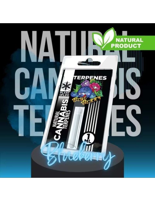 Terpen Blueberry Diesel | PLANT OF LIFE
