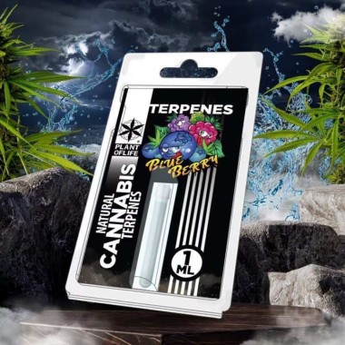 Terpen Blueberry Diesel | PLANT OF LIFE
