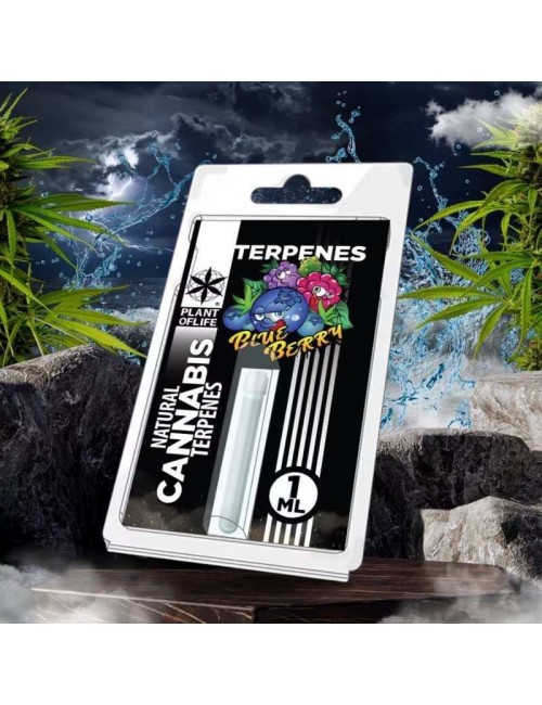 Terpen Blueberry Diesel | PLANT OF LIFE