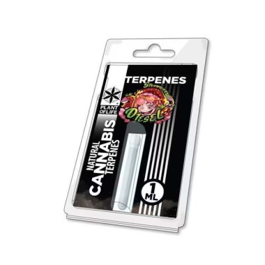 Terpen Strawberry Diesel | PLANT OF LIFE