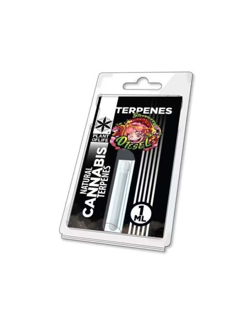 Terpen Strawberry Diesel | PLANT OF LIFE