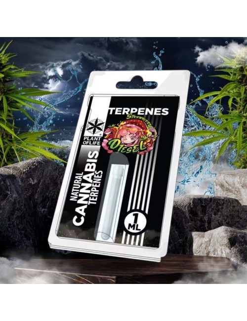 Terpen Strawberry Diesel | PLANT OF LIFE