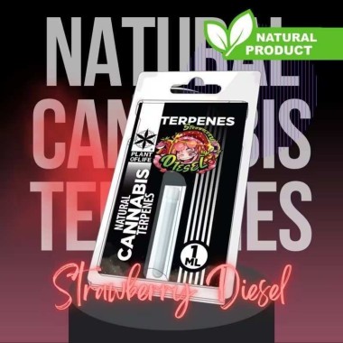 Terpen Strawberry Diesel | PLANT OF LIFE