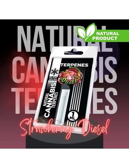 Terpen Strawberry Diesel | PLANT OF LIFE