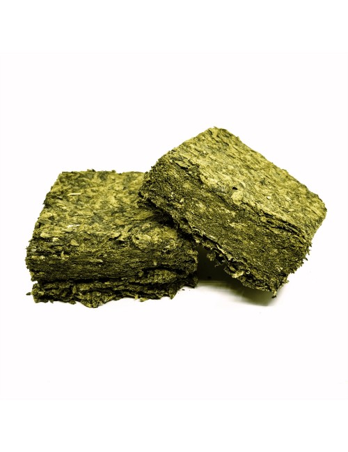 Canna Tablet 50g İç Mekan