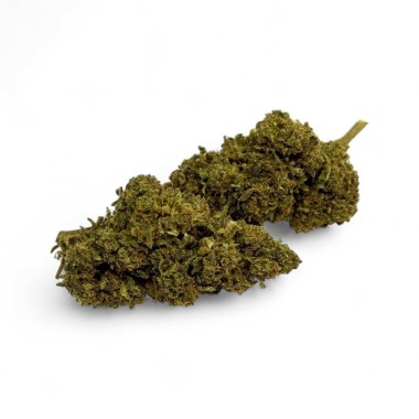 CBD Çiçeği Cannatonic Sera